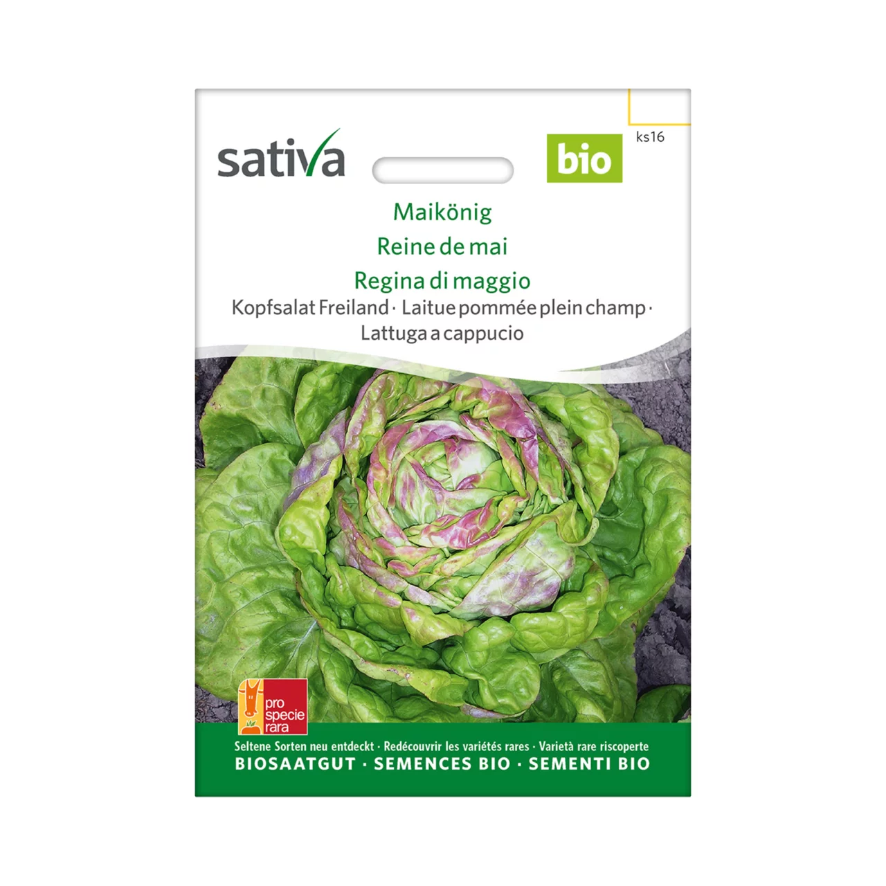 Produktbild zu «Biosamen Kopfsalat Maikönig» | © Sativa Rheinau AG