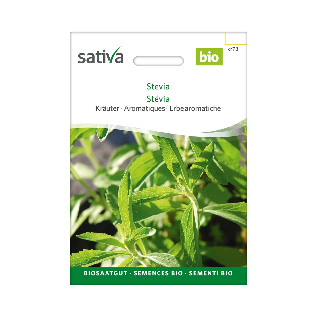 Kräuter Stevia