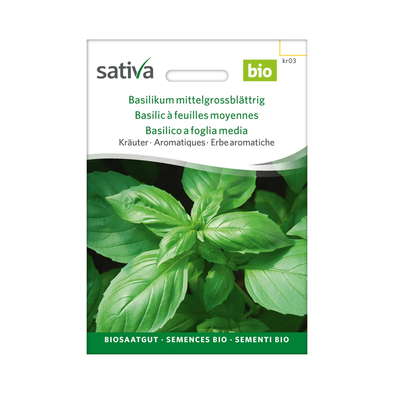Aromatiques Basilic  feuilles moyennes