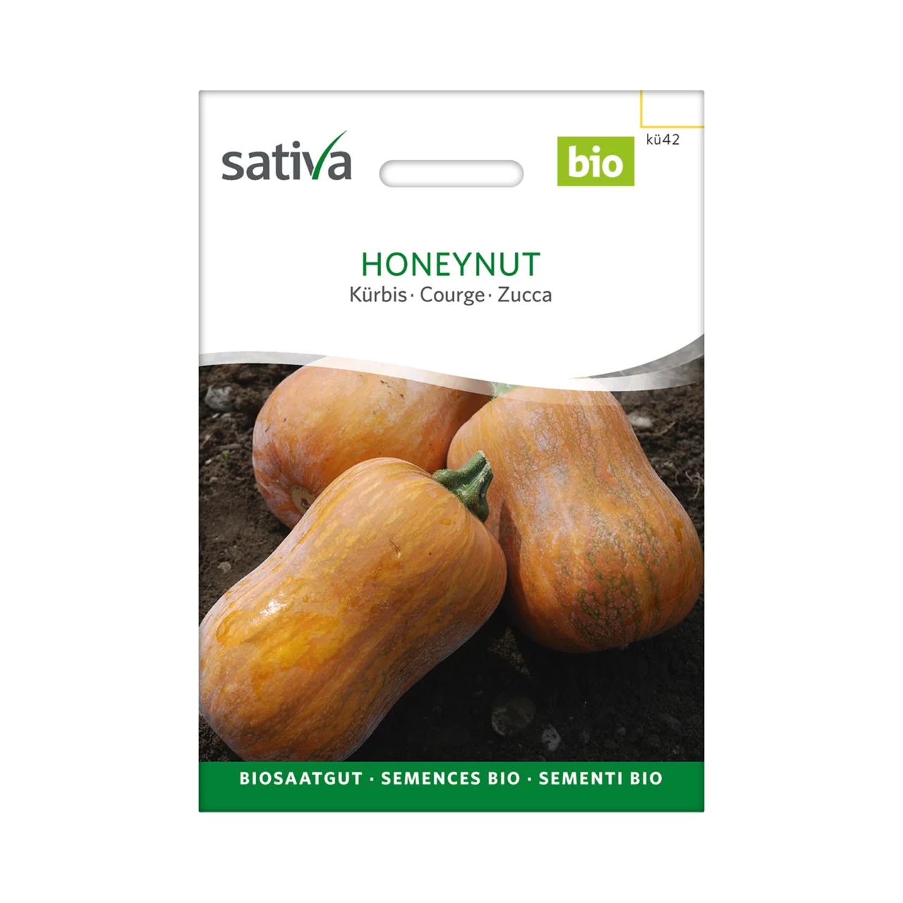 Produktbild zu «Biosamen Kürbis Honeynut» | © Sativa Rheinau AG