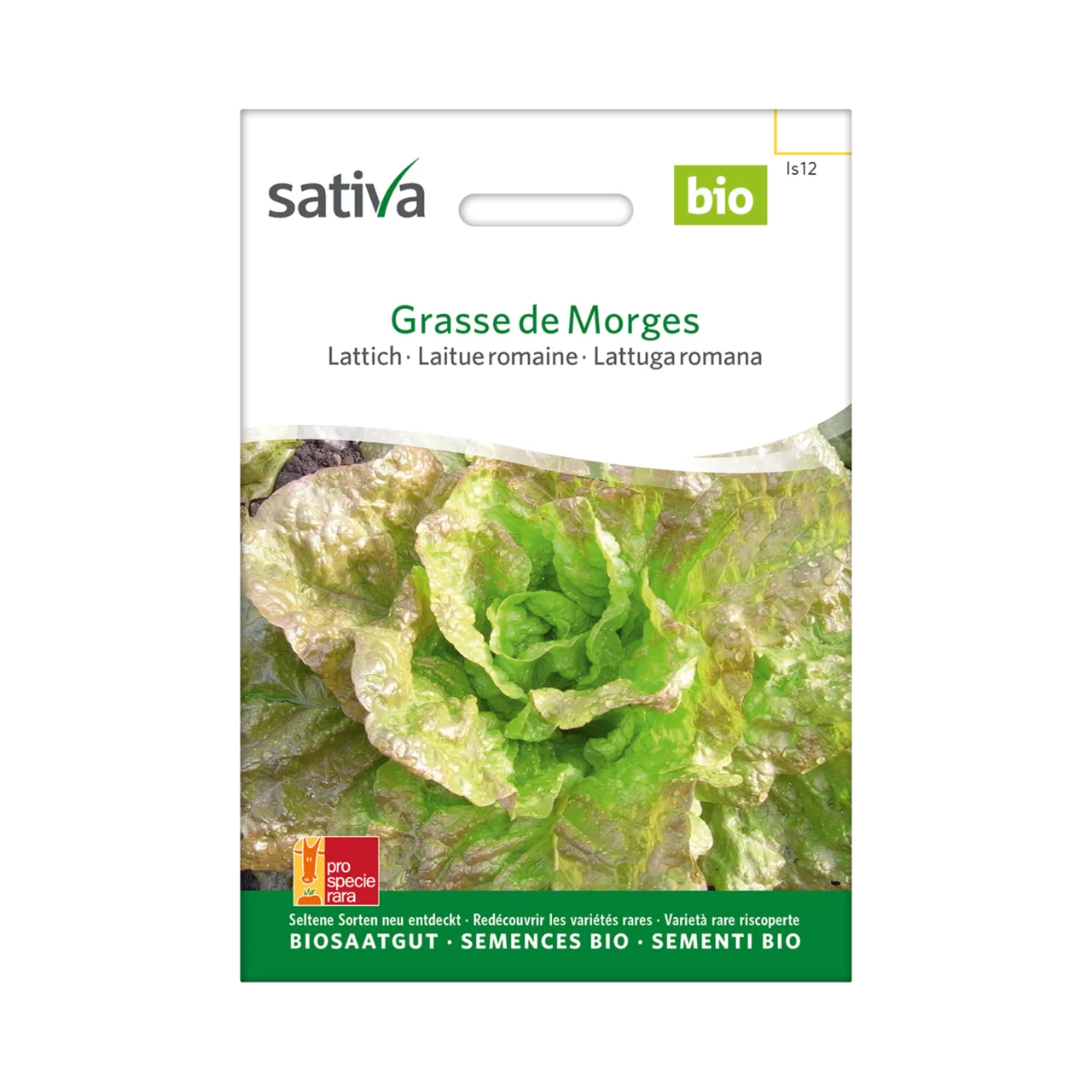 Produktbild zu «Biosamen Lattich Grasse de Morges» | © Sativa Rheinau AG