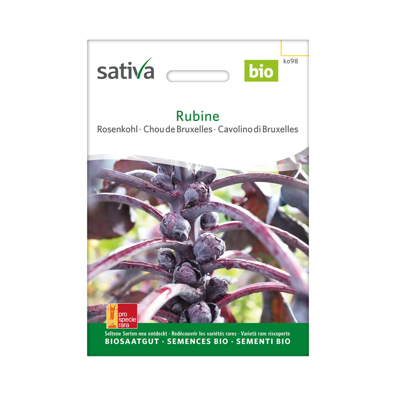 Produktbild zu «Biosamen Rosenkohl Rubine» | © Sativa Rheinau AG