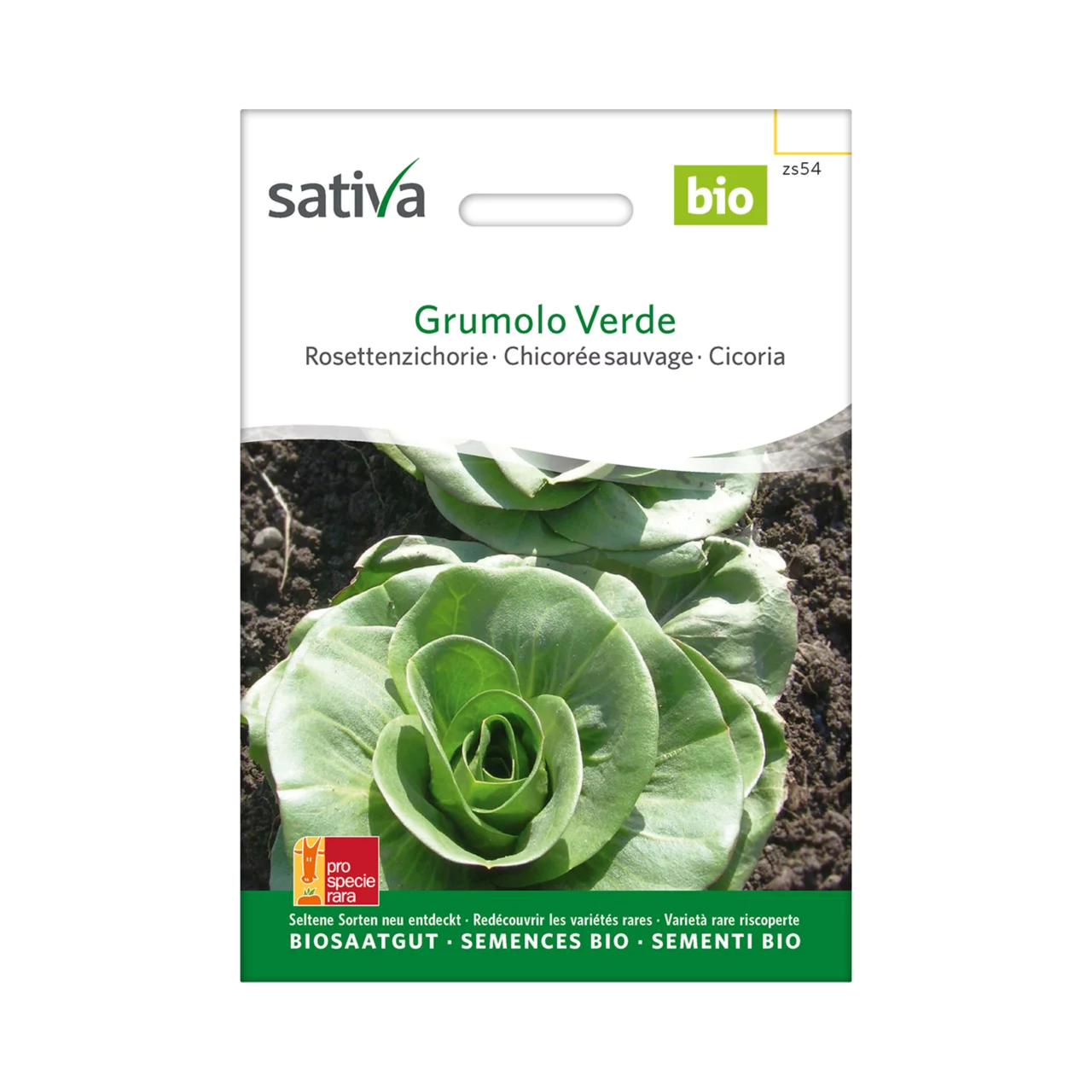 Produktbild zu «Biosamen Rosettenzichorie Grumolo Verde» | © Sativa Rheinau AG