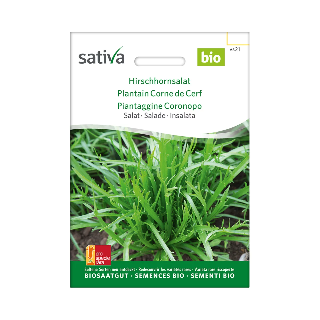 Produktbild zu «Biosamen Hirschhornsalat» | © Sativa Rheinau AG