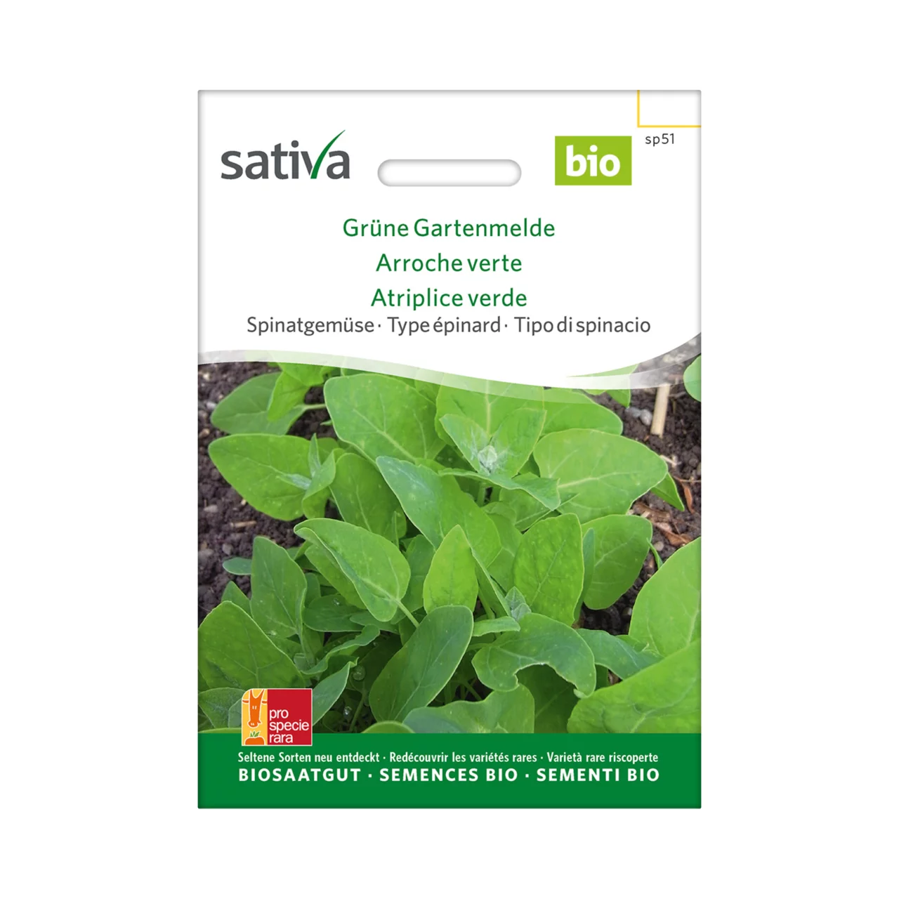 Produktbild zu «Biosamen Spinatgemüse Grüne Gartenmelde» | © Sativa Rheinau AG