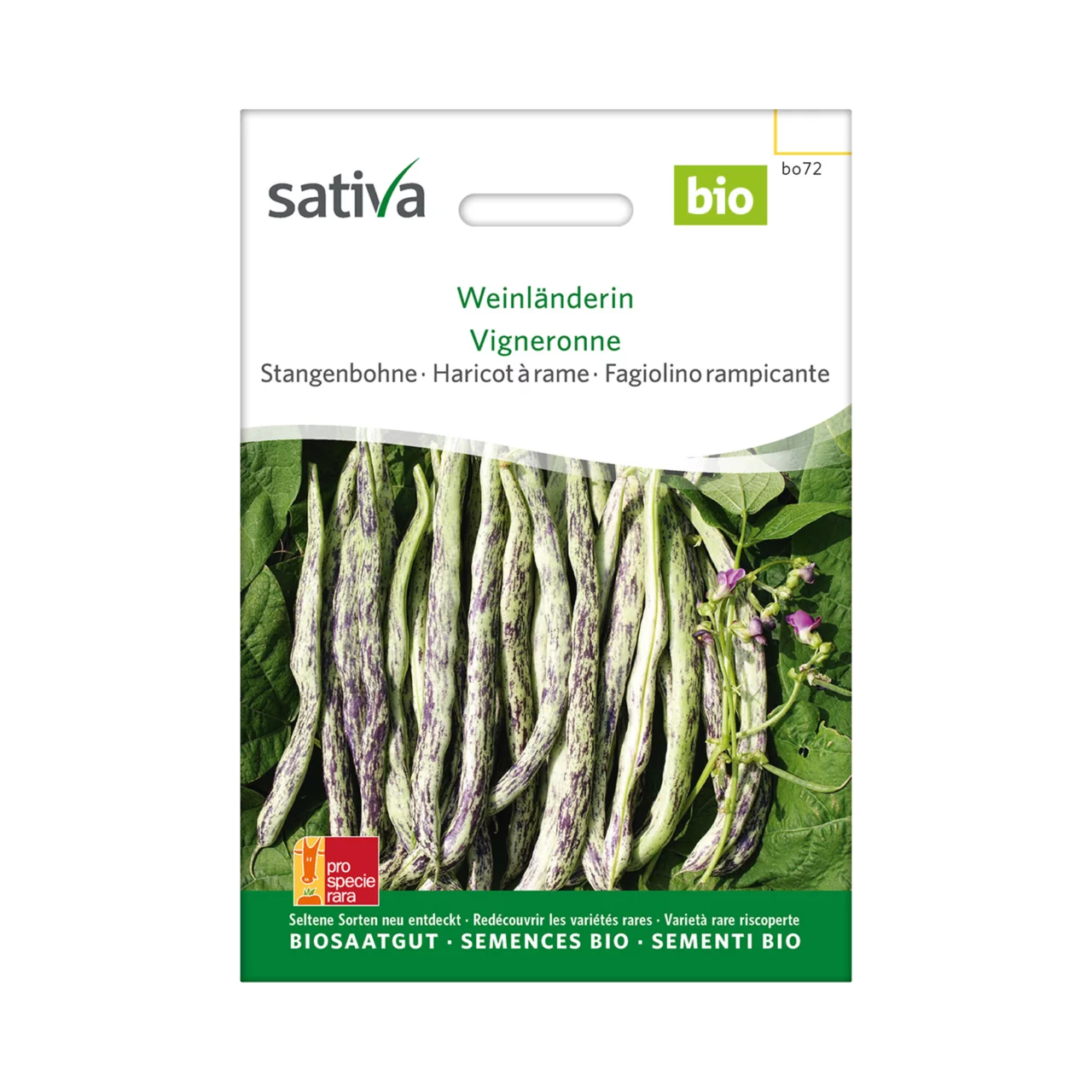 Produktbild zu «Biosamen Stangenbohne Weinländerin» | © Sativa Rheinau AG