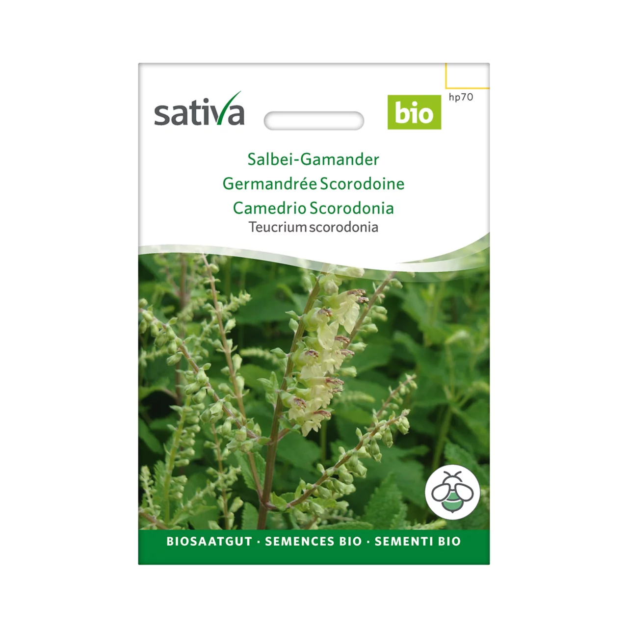 Produktbild zu «Biosamen Salbei-Gamander» | © Sativa Rheinau AG