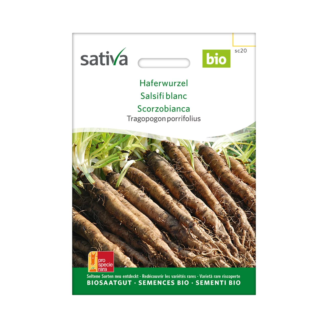 Produktbild zu «Biosamen Haferwurzel» | © Sativa Rheinau AG