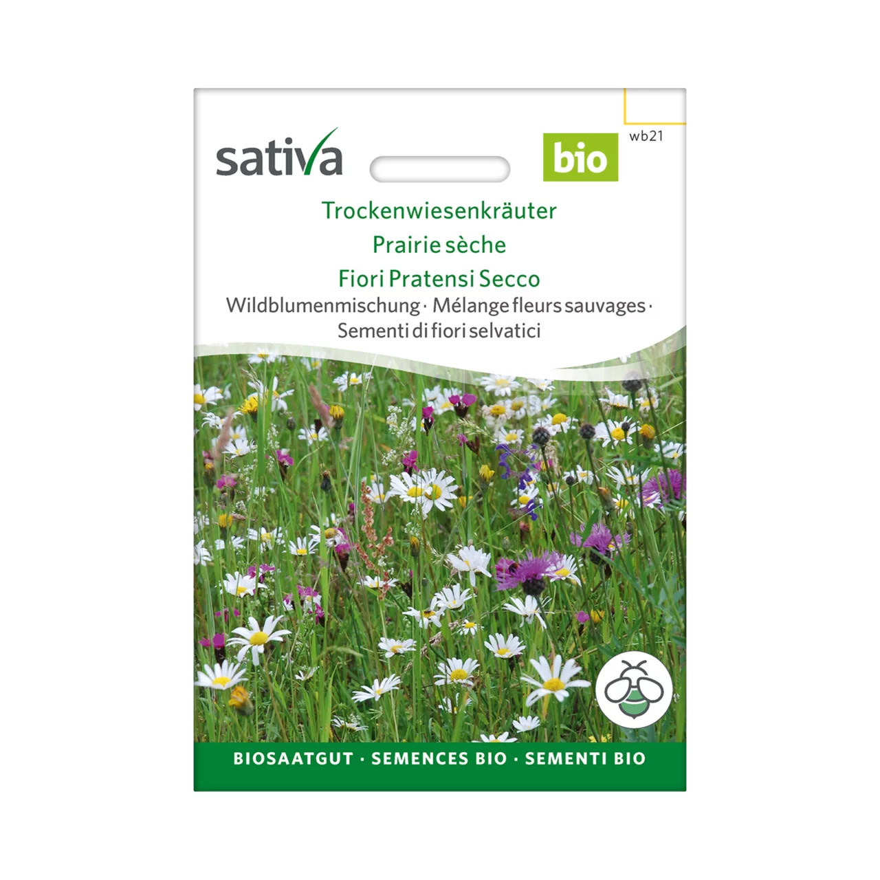 linda kartoffel saatgut Linda Kartoffel aus Niedersachsen – festkochend & aromatisch main image 0
