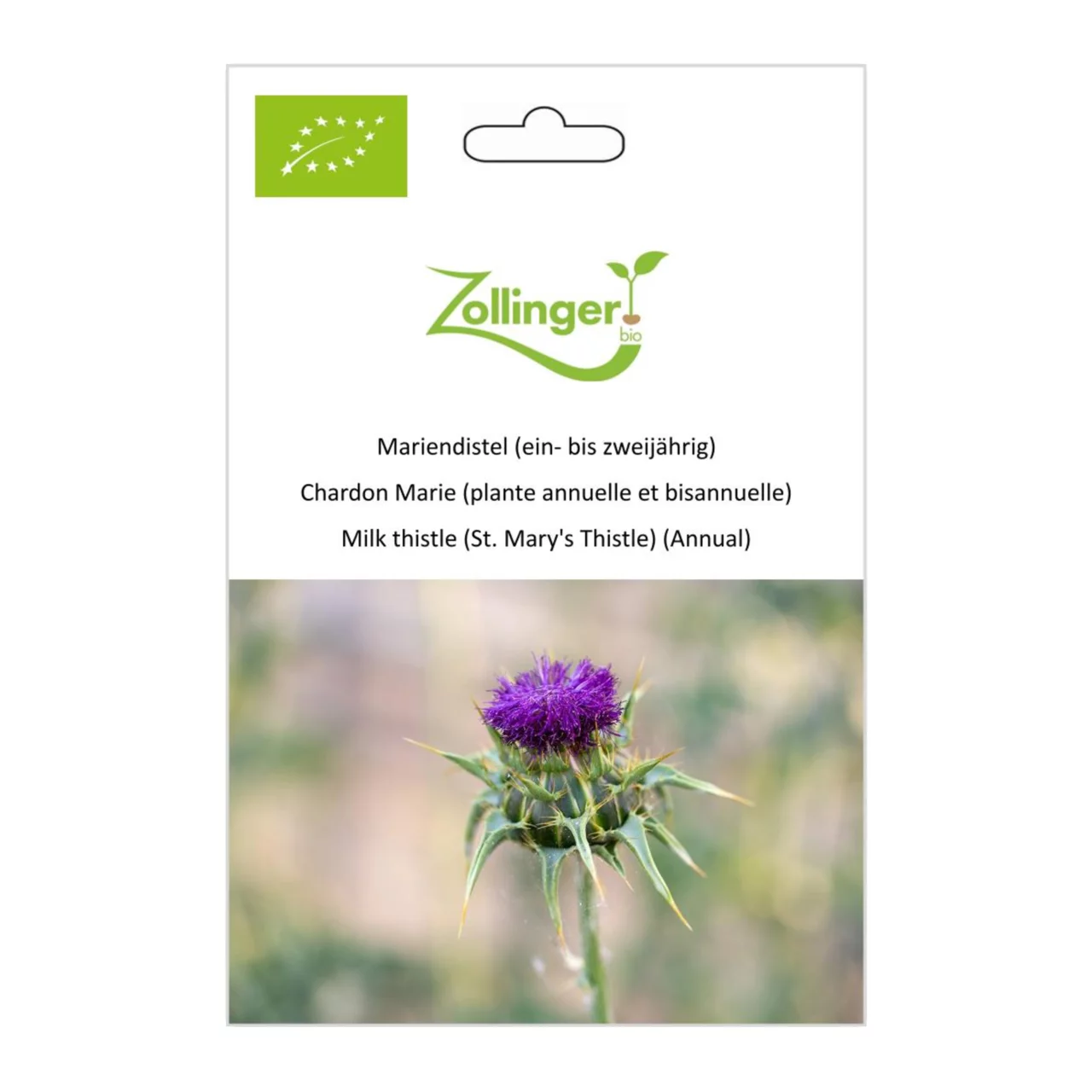 Produktbild zu «Biosamen Mariendistel (ein- bis zweijährig)» | © Zollinger Bio Sàrl