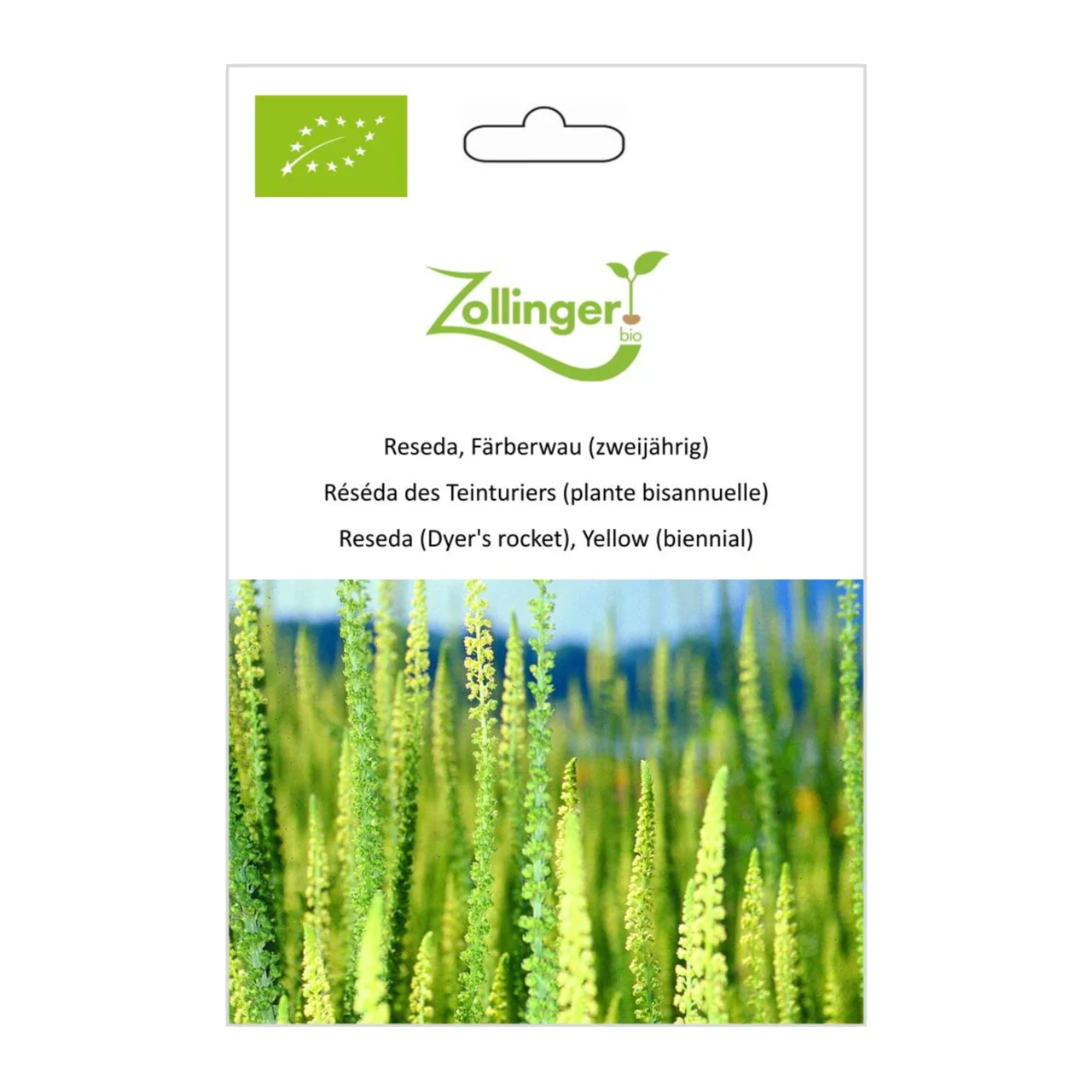 Produktbild zu «Biosamen Reseda, Färberwau (zweijährig)» | © Zollinger Bio Sàrl