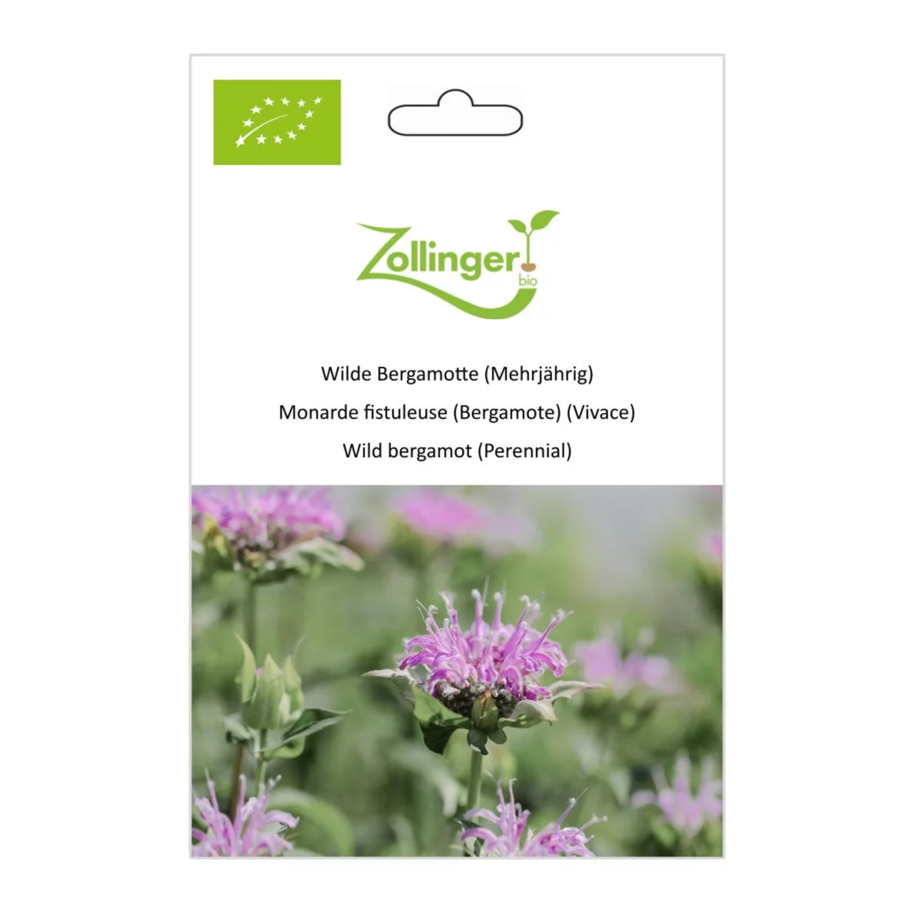 Produktbild zu «Biosamen Wilde Bergamotte (Mehrjährig)» | © Zollinger Bio Sàrl