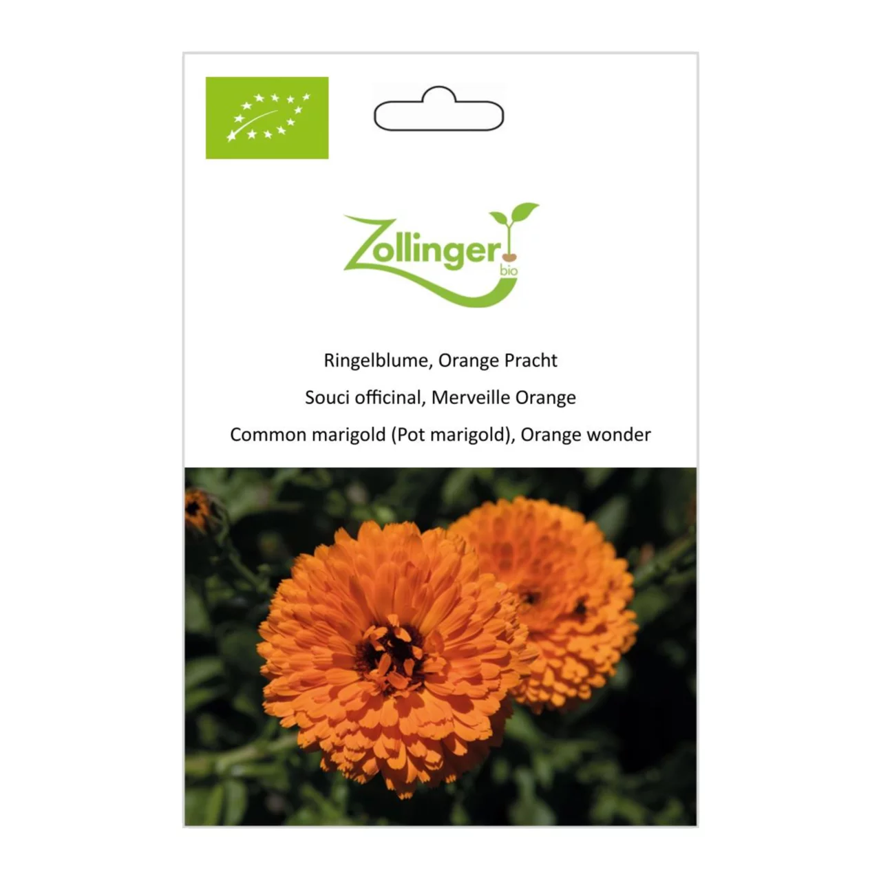 Produktbild zu «Biosamen Ringelblume, Orange Pracht» | © Zollinger Bio Sàrl