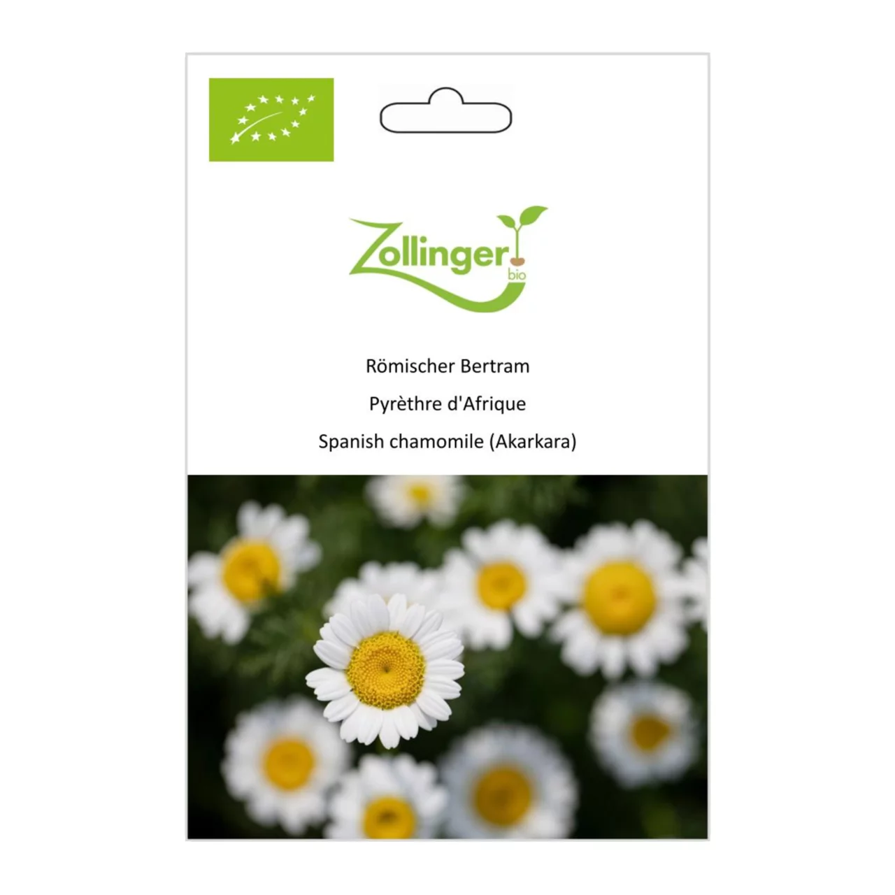 Produktbild zu «Biosamen Römischer Bertram» | © Zollinger Bio Sàrl