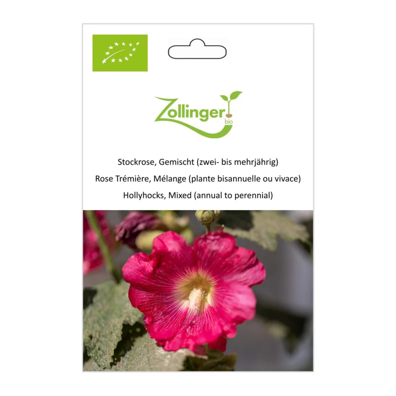 Produktbild zu «Biosamen Stockrose, Gemischt (zwei- bis mehrjährig)» | © Zollinger Bio Sàrl