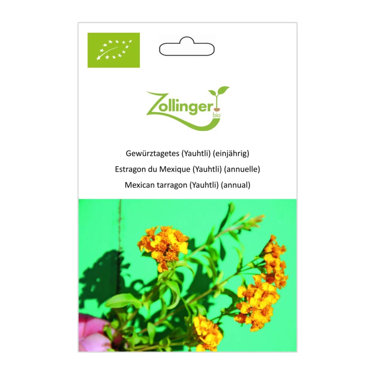 Produktbild zu «Biosamen Gewürztagetes (Yauhtli) (einjährig)» | © Zollinger Bio Sàrl