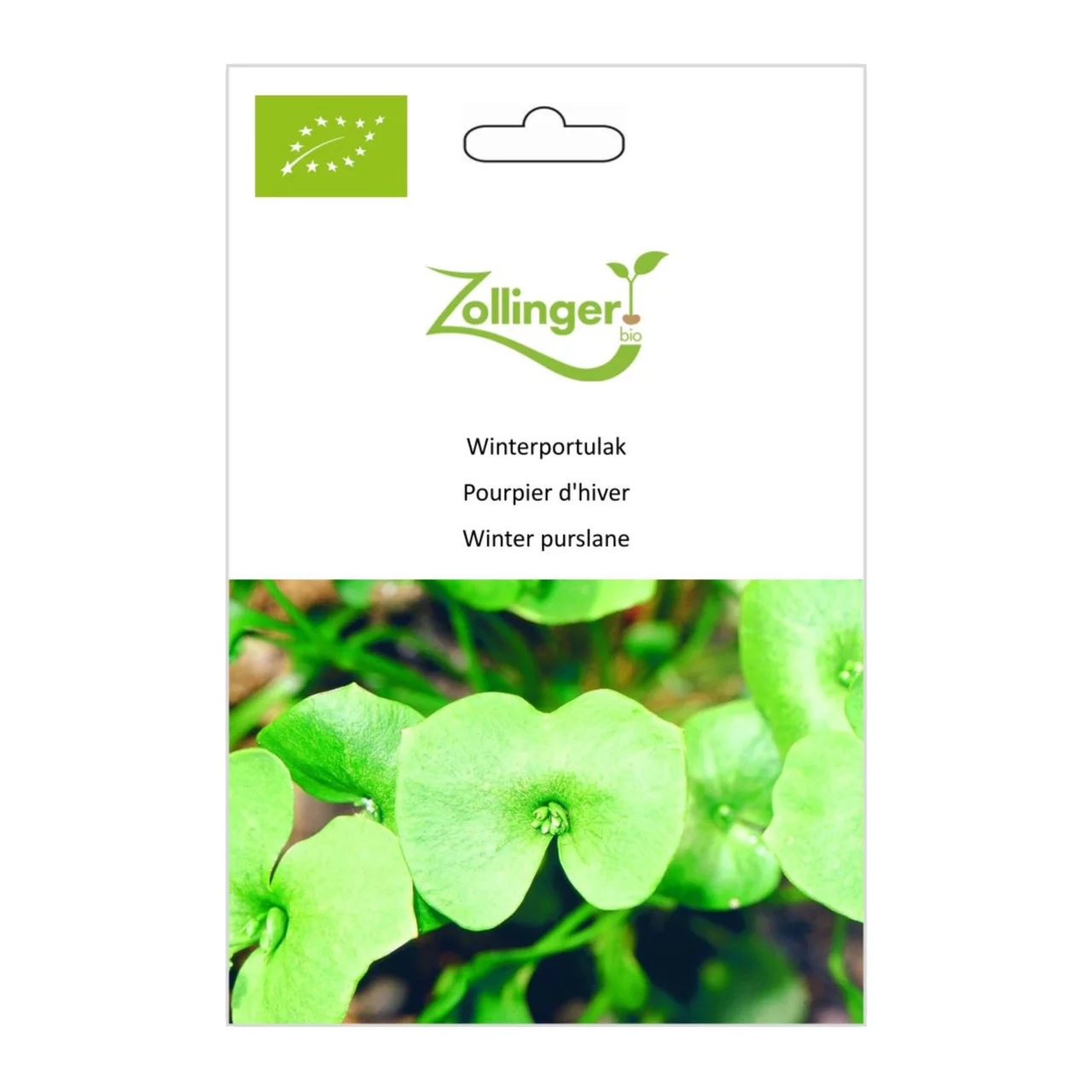 Produktbild zu «Biosamen Winterportulak» | © Zollinger Bio Sàrl