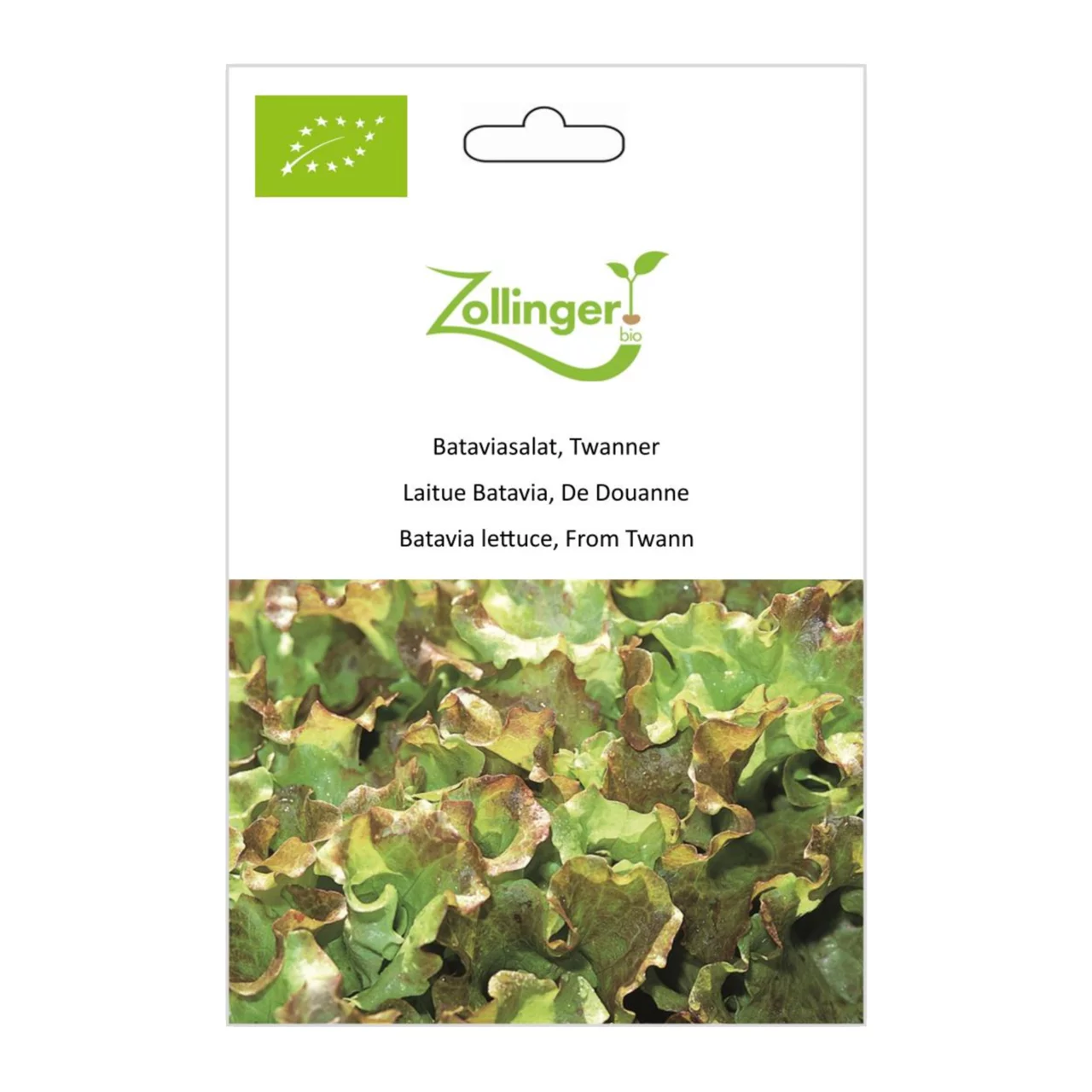 Produktbild zu «Biosamen Schnittsalat, Twanner» | © Zollinger Bio Sàrl