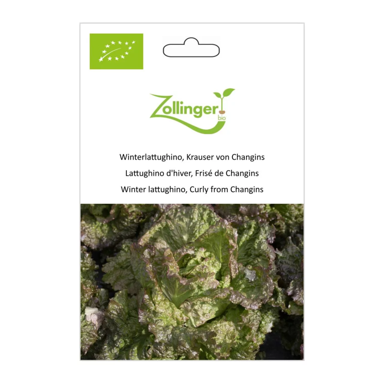 Produktbild zu «Biosamen Winterlattughino, Krauser von Changins» | © Zollinger Bio Sàrl