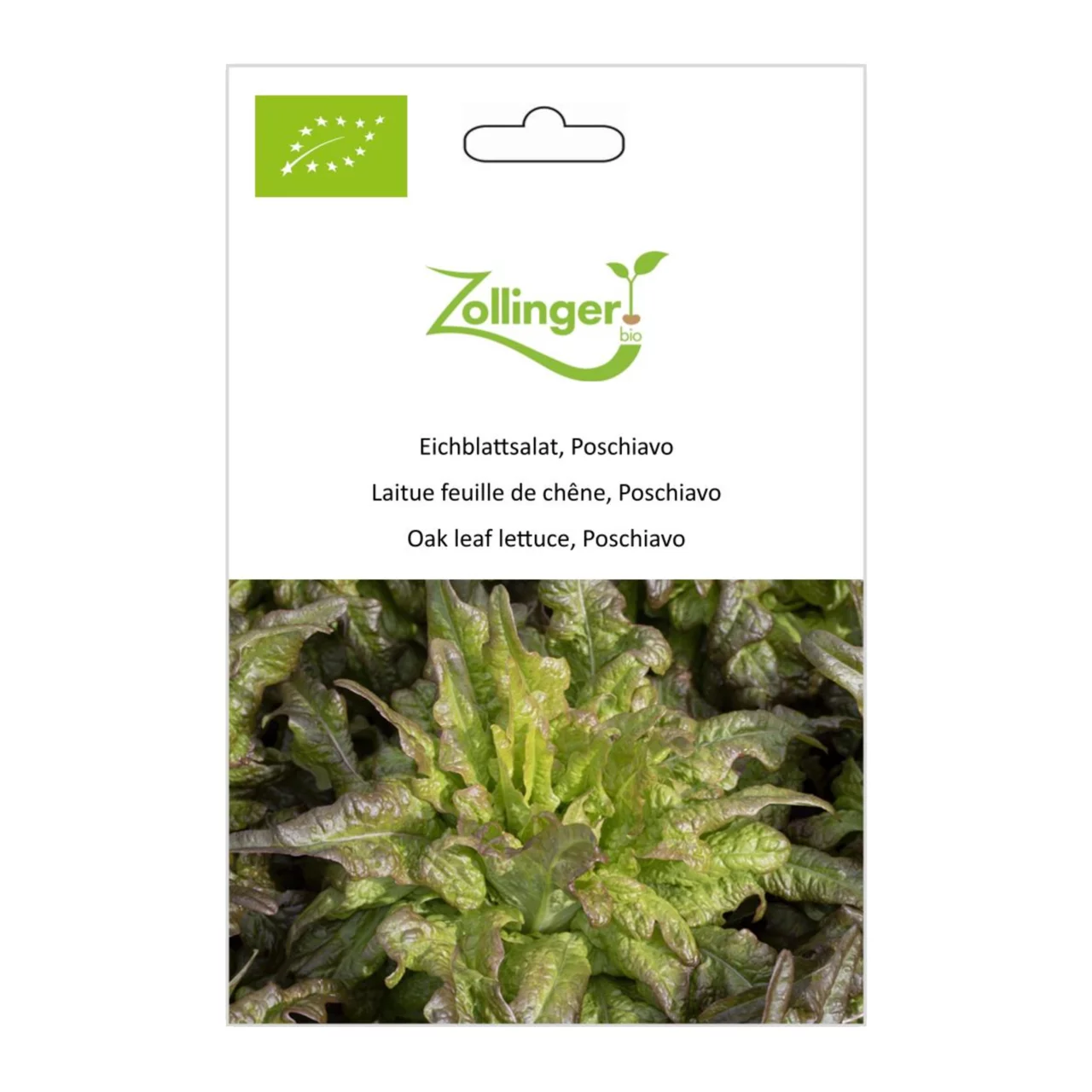 Produktbild zu «Biosamen Eichblattsalat, Poschiavo» | © Zollinger Bio Sàrl