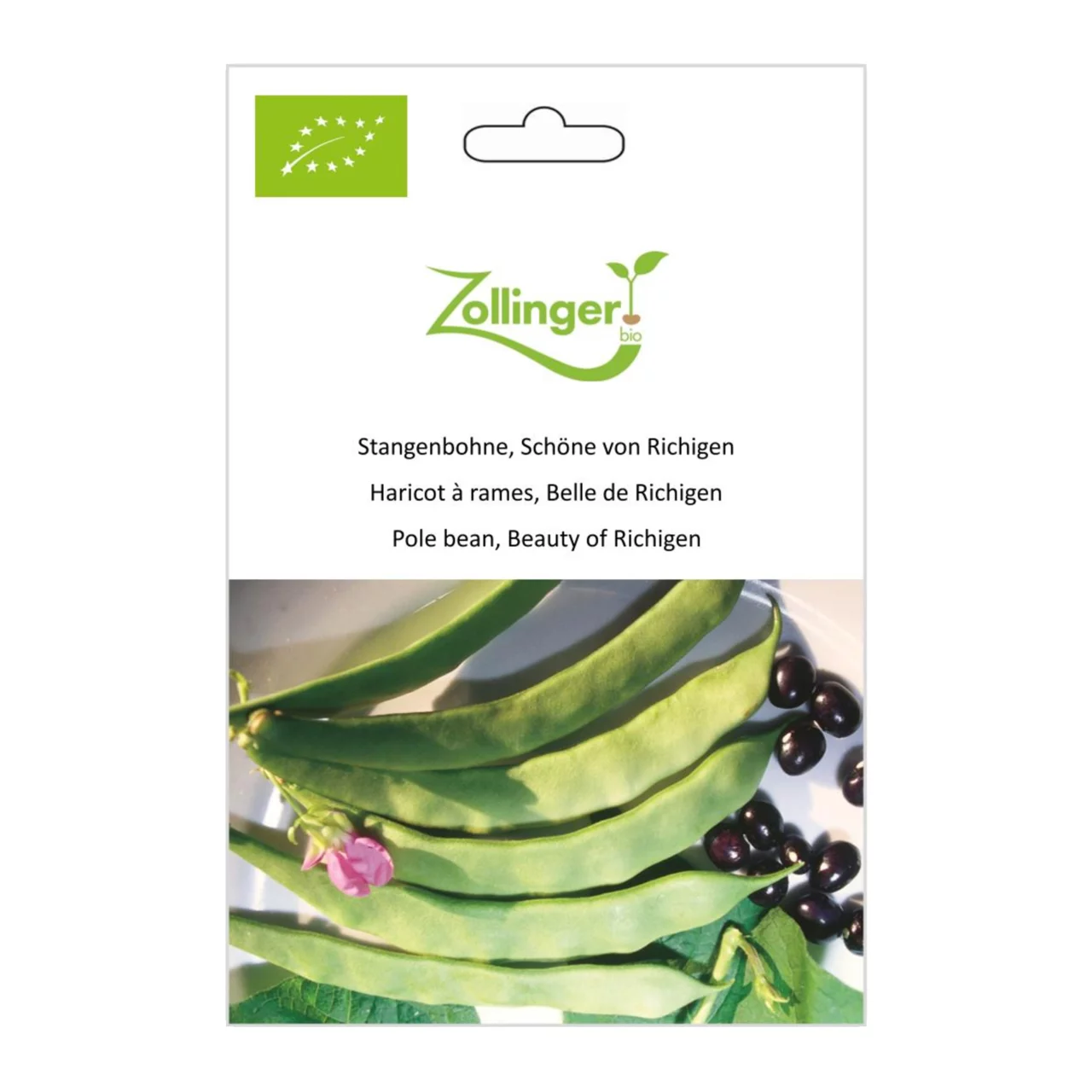 Produktbild zu «Biosamen Stangenbohne, Schöne von Richigen» | © Zollinger Bio Sàrl