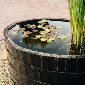 Image du produit pour «Mollex® StopMoustiqueTigre» | © Andermatt Biogarten AG