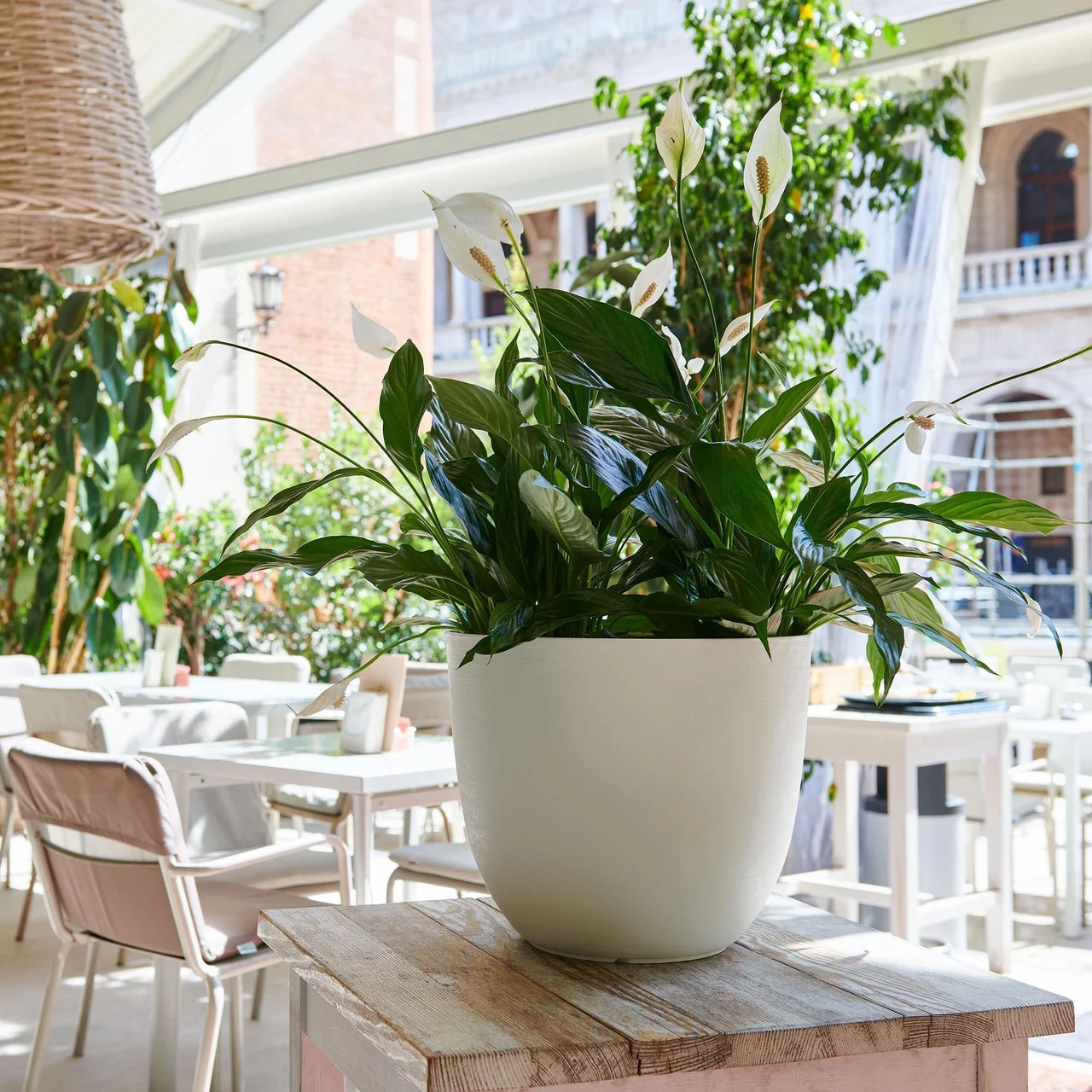 Image du produit pour «Pots» | © TeraPlast S.pl.a