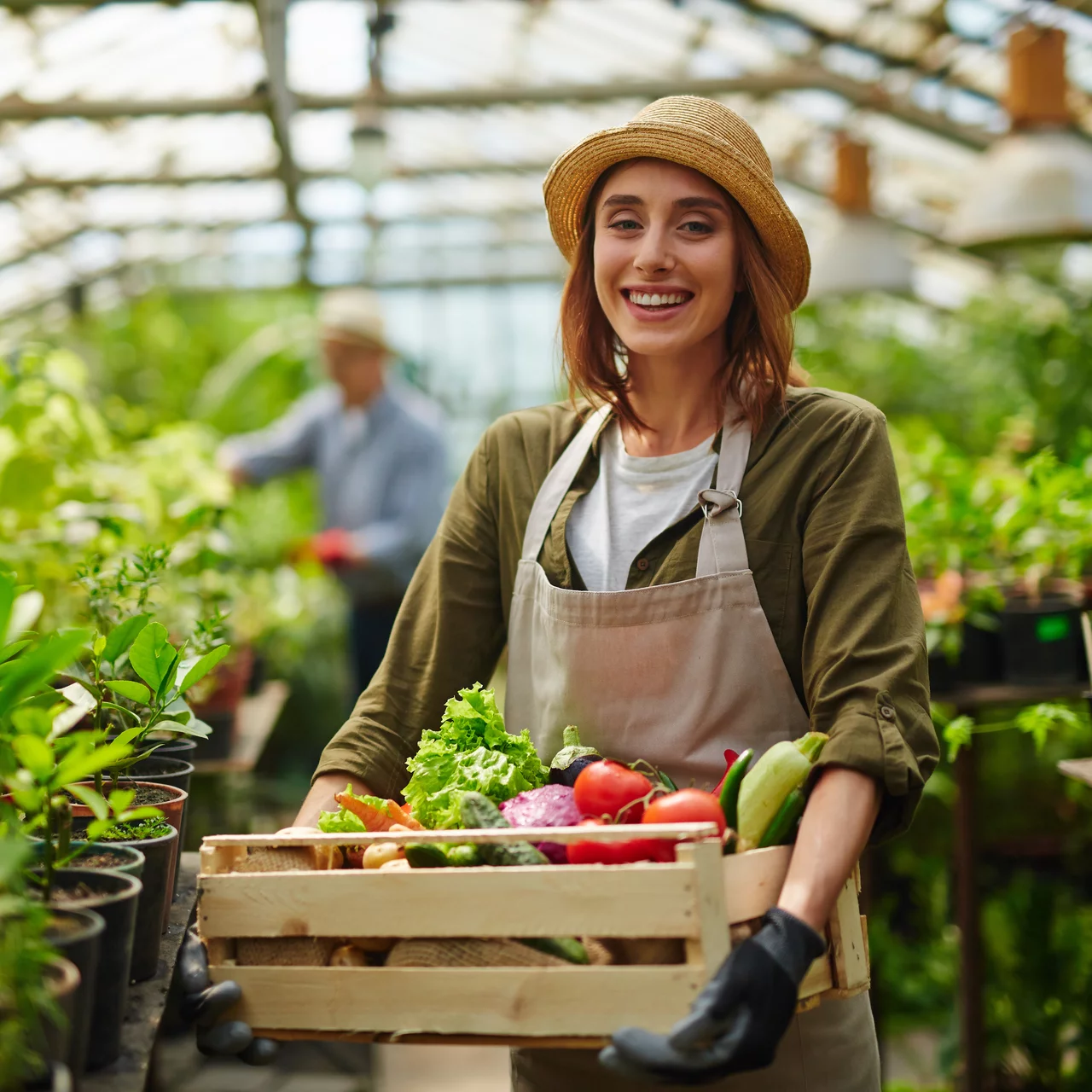 L'abonnement configurable de conseil en jardinage bio selon les cultures individuelles dans le jardin