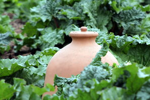 Die Bleichglocke - historisches Garteninstrument zum Gemüse bleichen und vorziehen.