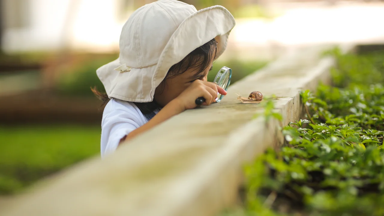 Nützlinge im Garten sind nicht nur nützlich, man kann auch eine Menge von ihnen lernen.