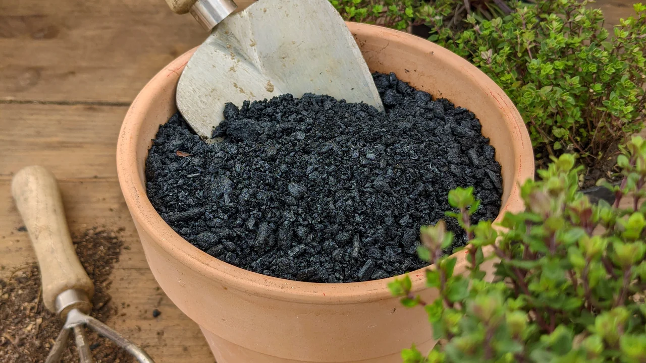 Pflanzenkohle im Topf. Die natürliche Kohle macht den Boden fruchtbar und speichert Wasser.