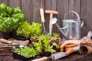 Gartenzubehör für optimale Bedingungen für die Anzucht von Samen 