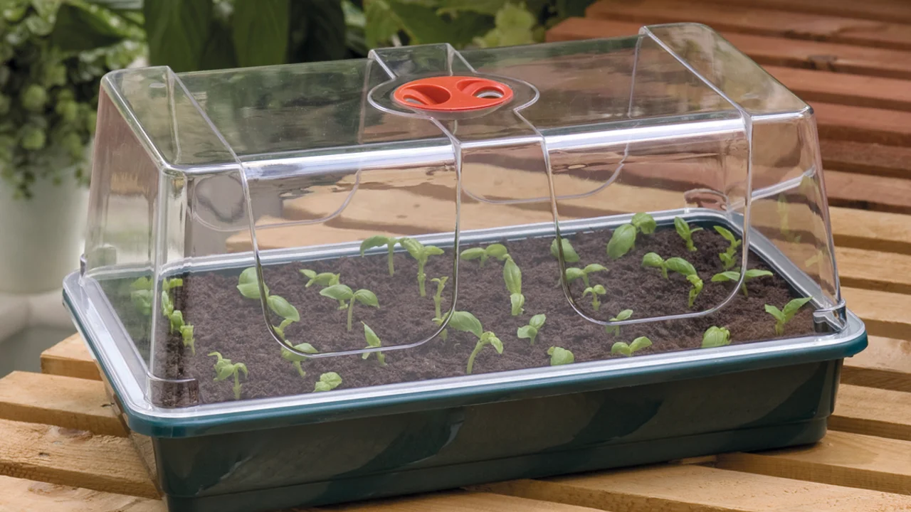 Wenn die Ansaat im Freiland nicht möglich ist, kann man Anzuchthäuser verwenden.