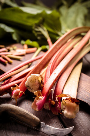 La rhubarbe est délicieuse, juteuse et saine. Elle est facile à récolter avec un couteau bien aiguisé.