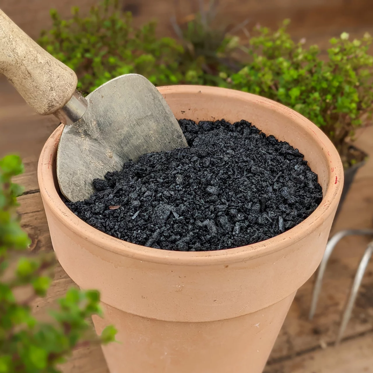 Das andere schwarze Gold des Gärtners, neben dem Kompost. Terra Preta zur Verbesserung der Bodenqualität.