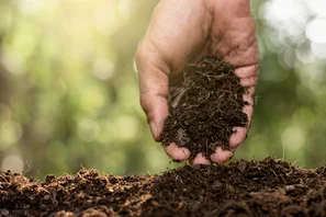 Gesunde und nährstoffreiche Erde ist die Grundlage jeden Gartens | © Andermatt Biogarten AG
