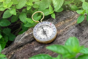 Der Biogarten-Kompass agiert als Leitfaden für biodiverses Gärtnern mit der Natur | © Andermatt Biogarten AG