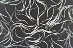 Die Nematoden werden gerne zur Schädlingsbekämpfung eingesetzt