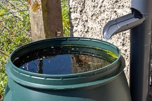 Ein an die Dachrinne angeschlossenes Regenfass sammelt kontinuierlich Wasser – ein typischer Einsatzort für CopEx-Ruderfusskrebse. | © Andermatt Biogarten AG