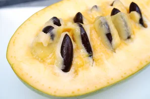 Bei der PawPaw darf nur das cremige und aromatische Fruchtfleisch, keinesfalls die Kerne verzehrt werden. | © Andermatt Biogarten AG
