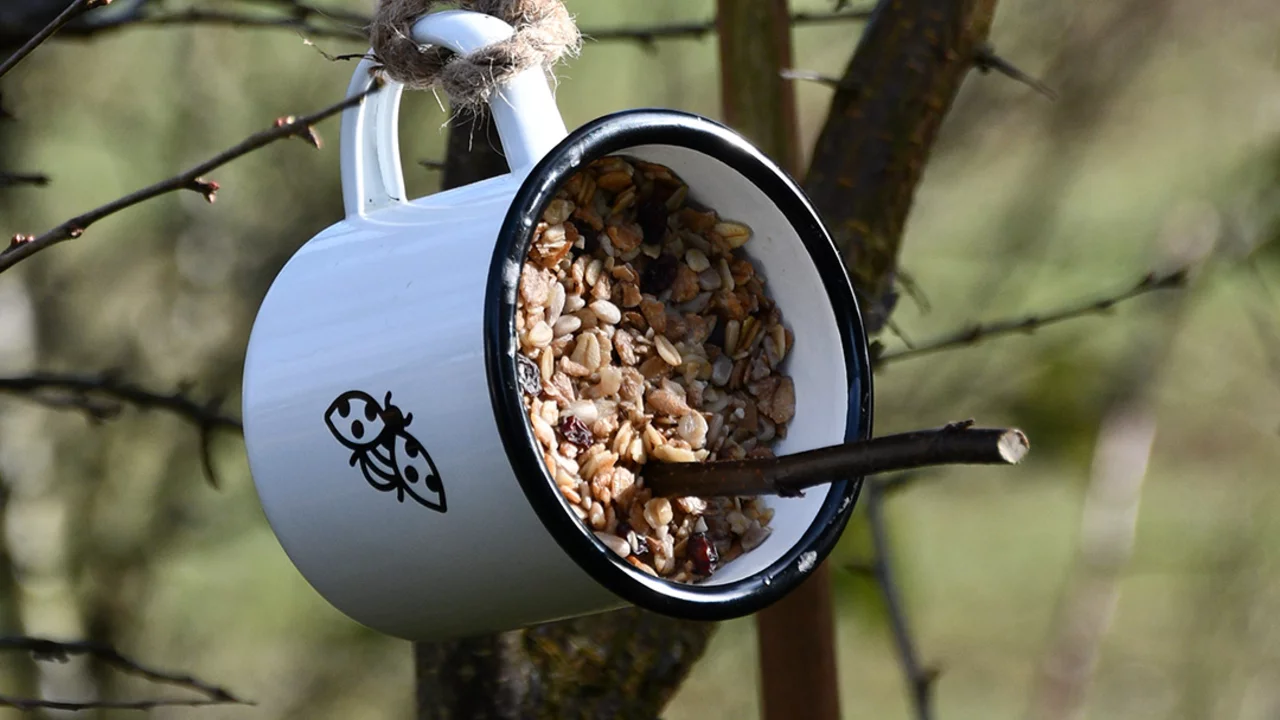 Blog Garten-DIY-Vogelfuttertasse - Anleitung Schritt 5 - Nach dem Abkühlen im Garten oder Balkon platzieren
