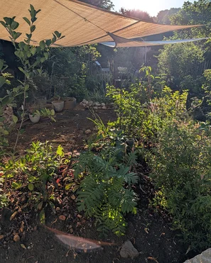 Frisch bepflanztes Staudenbeet auf dem Garagendach – Herbstpflanzung im neuen Wundertüten-Garten | © @zaubergaertli-gartenkeramik.ch