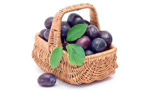 Im gesunden Garten dürfen auch Obstbäume nicht fehlen, ideale Pflanzzeit ist der Herbst. | © Andermatt Biogarten AG