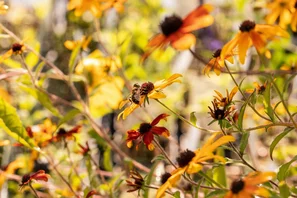 Herbst im naturnahen Garten | © Andermatt Biogarten AG