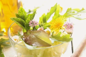 Stellt man einen Löwenzahn in Wasser, rollt sich der Stängel auf und beginnt zu tanzen. | © Andermatt Biogarten AG