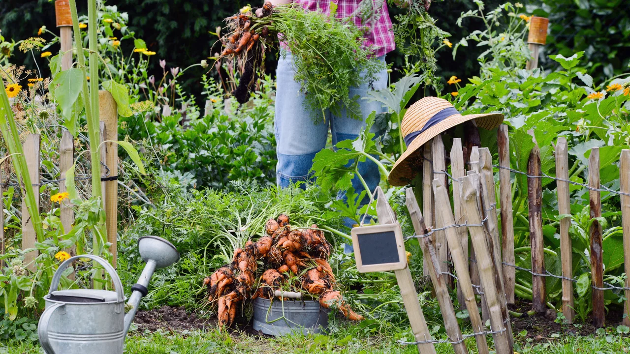 Checkliste mit Gartenarbeiten Monat für Monat im Gemüsegarten
