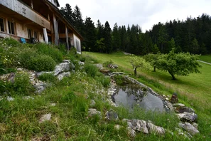 In der Mauer finden viele Tiere ein Versteck und Blühpflanzen einen mageren Boden | © Andermatt Biogarten AG