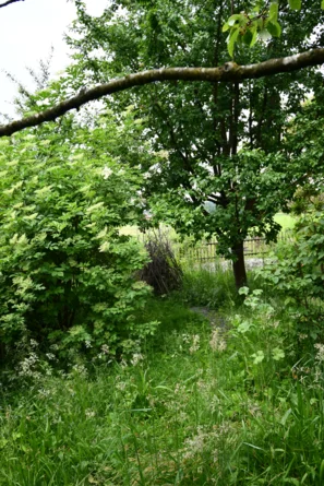 Viele Unterschlüpfe im Garten helfen den Gartentieren. | © Andermatt Biogarten AG