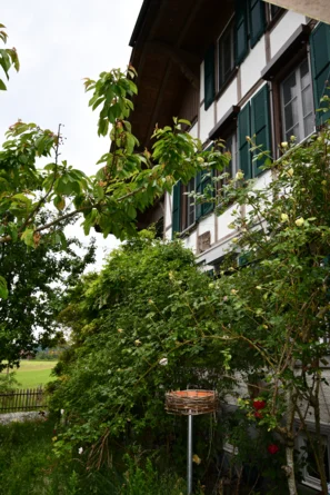 Geschützte Brutplätze werden immer seltener und können aktiv angeboten werden. | © Andermatt Biogarten AG