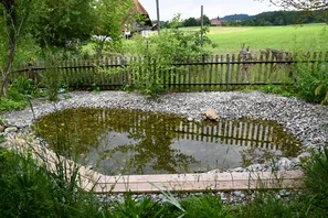 Die Bepflanzung geschieht oft von alleine, wichtig sind verschieden tiefe Stellen im Teich. | © Andermatt Biogarten AG